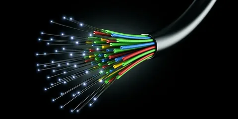 Flexible Fiber Optic Bundles Market